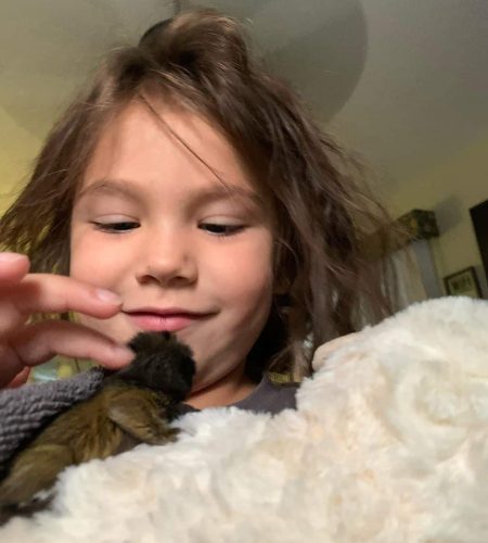 marmoset monkey for chidden